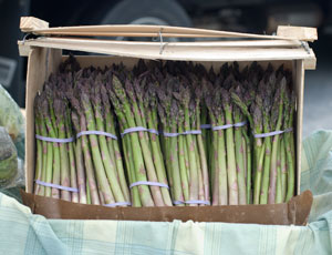 bunches of asparagus at farmers market