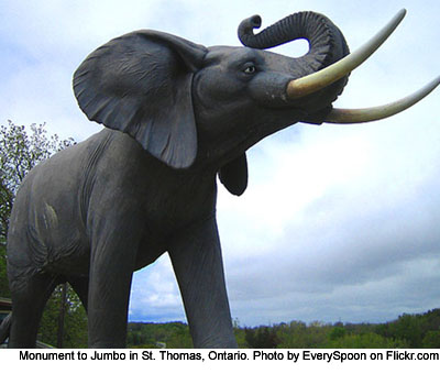Jumbo The Elephant