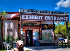 Skunk-Ape Research Center, Ochopee, FL
