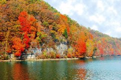 Fall color in Lake of the Ozarks, Missouri