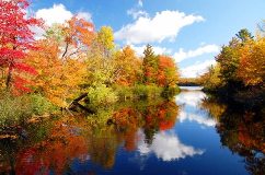 Autumn in Washington County, Maine