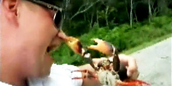 Man playing with crab gets pinched (GMA)