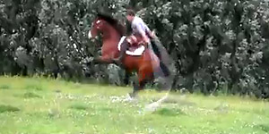 Horse and rider's amazing jump rope trick (Y! Video)