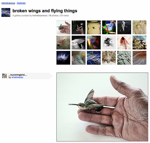 Galerie "broken wings and flying things" ausgestellt von helveticaneue