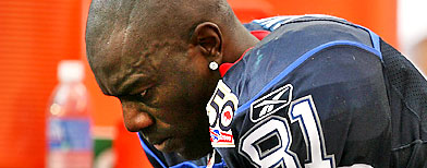 Wide receiver Terrell Owens #81. (Photo by Doug Benc/Getty Images)