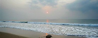 View of the Bay of Bengal on the Gokhurkuda beach about 140 kilometers (88 miles) from Bhubaneshwar, India, Thursday, March 18, 2010. (AP Photo/Biswaranjan Rout)