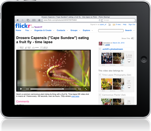 Viewing Flickr videos on the iPad