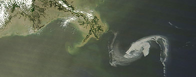 Satellite photo shows the oil slick in the Gulf of Mexico. (AP/NASA)