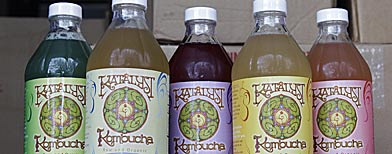 In this photo made July 1, 2010, the product line of Katalyst Kombucha fermented tea are displayed in a refrigerated storage unit at the Katalyst Kombucha company in Greenfield, Mass. (AP Photo/Charles Krupa)