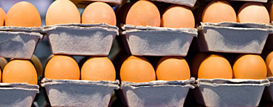 Carton of eggs (Thinkstock)