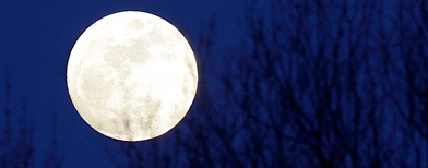 The full moon rises above the tree tops in Moreland Hills, Ohio on Wednesday, April 8, 2009. (AP Photo/Amy Sancetta)