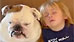 Sleepy buddies (Yahoo! Video)