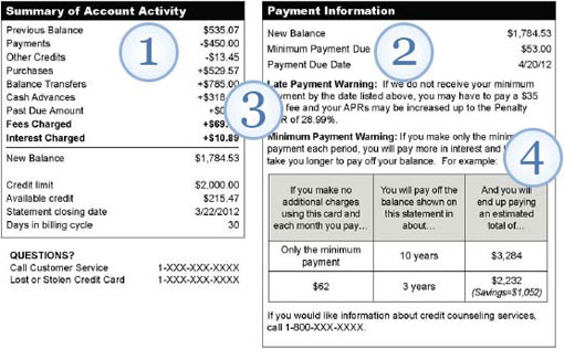 credit card statement template. credit card statement example.