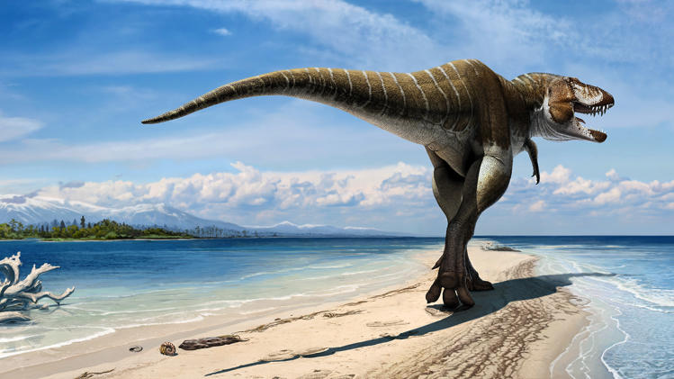 This artist's rendering released by the Natural History Museum of Utah, shows a newly-discovered dinosaur, Lythronax argestes, whose fossils have been found in southern Utah. Paleontologists say this proves giant tyrant dinosaurs like the Tyrannosaurus rex were around 10 million years earlier than previously believed. (AP Photo/Natural History Museum of Utah, Audrey Atuchin)
