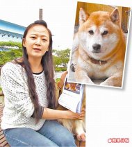 陳小姐去年帶著柴犬「威士忌」（小圖）皈依佛門，不料上月初走失。
