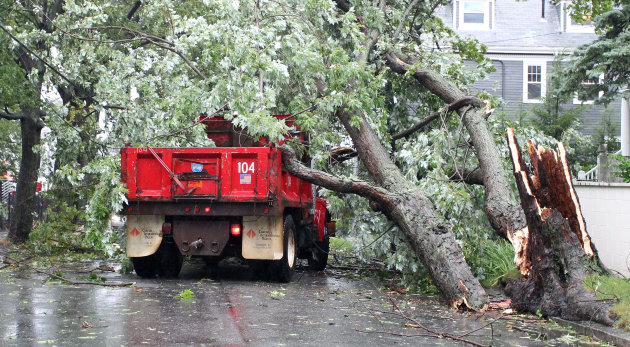 A Providence City truck was struck by a falling tree from the winds of Tropical Storm Irene in Providence, R.I., Sunday, Aug. 28, 2011. The worker was taken to a local hospital.  Irene was to continue