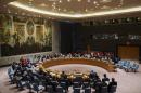 Members of the United Nations Security Council address a resolution in New York