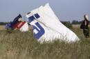 A woman takes a photograph of wreckage at the crash site of Malaysia Airlines Flight MH17 near the village of Hrabove (Grabovo)