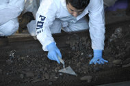 In this April 19, 2013 photo released by Chile's Police Investigative Unit on Thursday, April 25, 2013, an investigator collects samples of dirt at a farm used by a sect that is accused of burning a baby alive, in Colliguay, near the Chilean port of Valparaiso. Police on Thursday, arrested four people accused of burning a baby alive in a ritual because the leader of the sect believed that the end of the world was near and that the child was the antichrist. (AP Photo/ Chile's Police Investigative Unit)