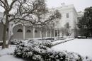 Snow falls over the Rose Garden and West Wing Colonnade of the White House in Washington, March 3, 2014