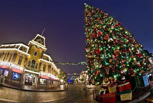 Cây thông cao 18,2m cùng những hộp quà xinh xắn đầy sắc màu tạo nên một không khí đặc biệt của Giáng sinh