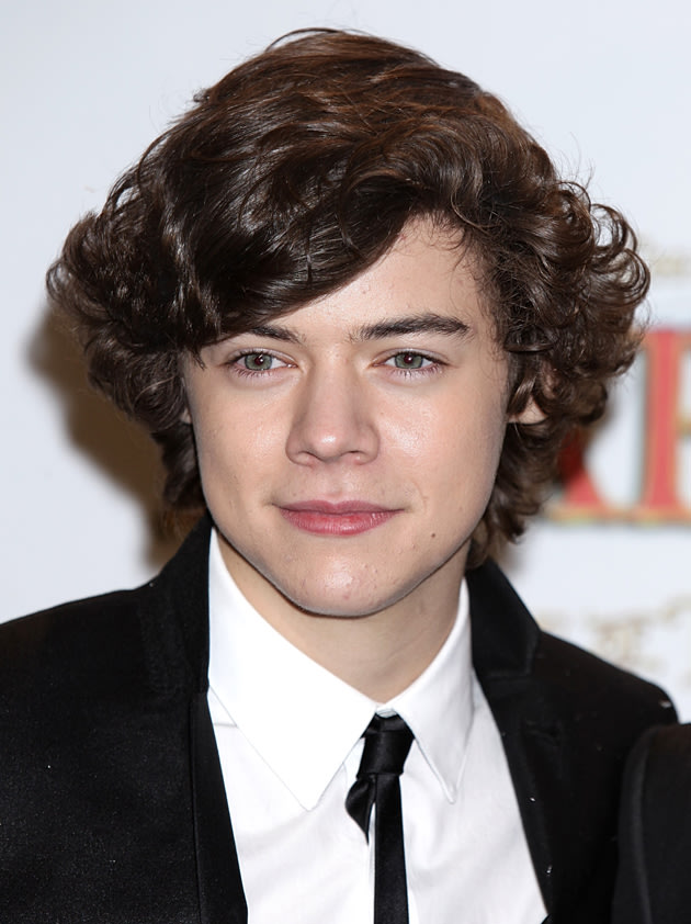 curly hairstyle for males? Harrystyles