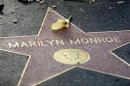 A flower lays atop the Hollywood Walk of Fame star for the late actress Marilyn Monroe in Hollywood