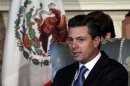 Mexico's President-elect Enrique Pena Nieto meets with Canada's Governor General David Johnston in Ottawa