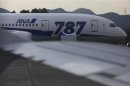 ANA Boeing Co's 787 Dreamliner aircraft which made an emergency landing, is seen through a window of the ANA's Airbus A320 jet in Takamatsu