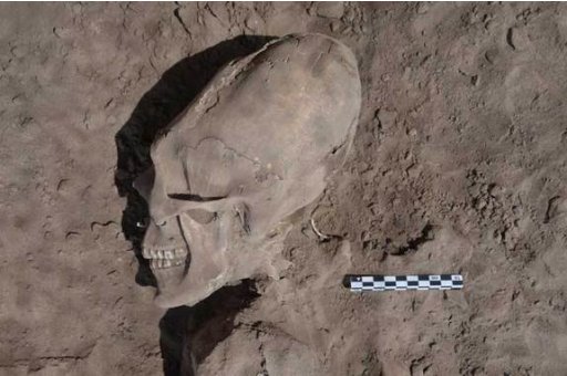 'Alien-Like' Skulls Excavated in Mexico