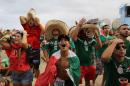 In this Friday, June 13, 2014 photo, Mexico soccer fan Jose Reyna, center, reacts as he watches his team's World Cup match with Cameroon inside the FIFA Fan Fest area on Copacabana beach in Rio de Janeiro, Brazil. Mexico won 1-0. (AP Photo/Leo Correa)