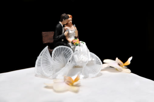  كيكات أفراح رومانسية وطريفة …  Funny Wedding Cake Toppers 101201634-jpg_125338