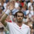 Andy Murray of Britain celebrates after defeating David Ferrer of Spain in their men's quarter-final tennis match at the Wimbledon tennis championships in London