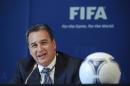 Michael Garcia carried out an exhaustive investigation into the bidding for the 2018/2022 World Cups