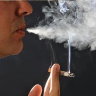 Riset Membuktikan Merokok Bikin Bodoh