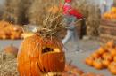A private open-air bazaar is selling pumpkins of all sizes as decoration, ahead of Halloween that is taking root in Poland, especially among school children, but also for soup, cakes and sweet-and-sour preserves for the winter, in Warsaw, Poland, Thursday, Oct. 30, 2014. (AP Photo/Czarek Sokolowski)
