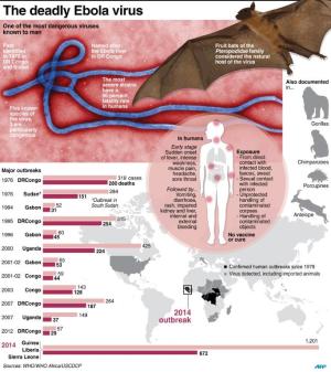 The deadly Ebola virus