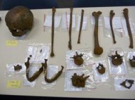 Descubren restos de una gran batalla de la Edad de Bronce Restosarqueologicosdelabatallajuntoalrio