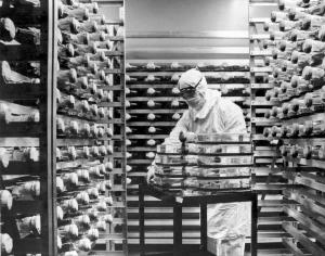 In this Aug. 1963 file photo, a technician working &hellip;