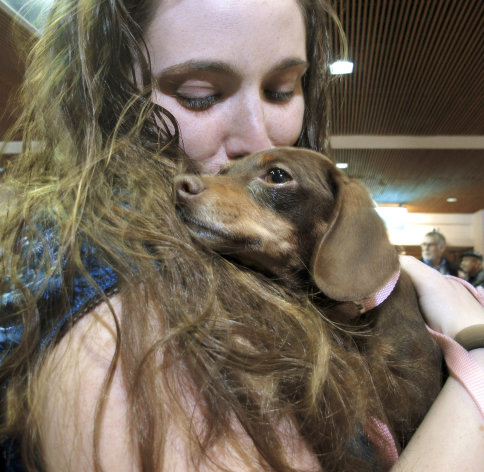 Mandi Smith, of Fort Campbell, Ky., is reunited with her dog, Pooka, Wednesday, Jan. 30, 2013 at the Albuquerque International Sunport Airport in Albuquerque, N.M. The Chihuahua-dachshund mix, also known as a chiweenie, disappeared from her yard 18 months ago and was found wandering the streets 1,200 miles away in Espanola, N.M., in January. The dog was traced to Smith by her microchip, but how she got to New Mexico is a mystery. (AP Photo/Jeri Clausing)