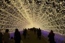 'Tunnel of lights' dazzles spectators