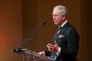 Britain's Prince Charles, Prince of Wales addresses guests at a dinner in central London on February 3, 2015