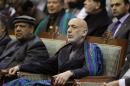 Karzai attends during the last day of the Loya Jirga, in Kabul