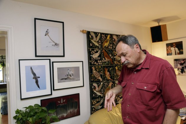 In this June 19, 2013, photo, biologist Glenn Stewart in explains the flight pattern of peregrine falcons at home in Santa Cruz, Calif. After decades of scrambling on the underside of California bridges to pluck endangered peregrine falcon fledglings teetering in ill-placed nests, inseminating female birds and releasing captive-raised chicks, wildlife biologists have been so successful in bringing back the powerful raptors that they now threaten Southern California’s endangered shorebird breeding sites. As a result, the U.S. Fish and Wildlife Service says it will no longer permit high profile peregrine chick rescues from Bay Area bridges, a move which they concede will likely lead to fluffy chicks tumbling into the water below and drowning next spring. (AP Photo/Marcio Jose Sanchez)