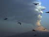 FILE - In this April 18, 2012 file photo, birds fly in the foreground as a plume of ash and steam rises from Popocatepetl volcano as seen from San Andres Cholula, Mexico, Wednesday, April 18, 2012. The volcano continues to shoot ash into the sky southeast of Mexico's capital, and television images on Friday, April 20, show a reddish glow near the crater. (AP Photo, File)