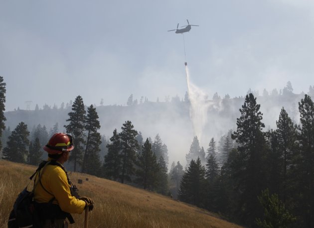 Tracy Summers, of the Toledo Fire Department, watches a water drop as crews continue to battle the Taylor Bridge Fire near Cle Elum, Washington, August 16, 2012. One of the more destructive of the fires flared into its fourth day near the town where authorities reported on Thursday that 70-plus homes and more than 200 barns and other structures were demolished earlier this week. REUTERS/Kevin P. Casey  (UNITED STATES - Tags: ENVIRONMENT DISASTER)