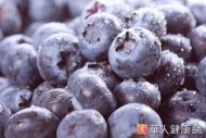 美國農業部實驗發現，藍莓所含的豐富花青素，具有抗自由基和感染源，進而保護腦部的作用。