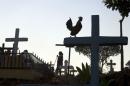 In this Friday, Nov. 1, 2013 photo, a rooster walks on the arm of a cross as believers observe All Saints' Day at the Nejapa cemetery in Managua, Nicaragua. The souls of departed loved ones are being honored around Latin America as celebrants blend pre-Columbian rituals with the Roman Catholic observance of all Saint's Day on Nov. 1 and All Soul's Day on Nov. 2 to mark the Day of the Dead. (AP Photo/Esteban Felix)