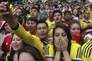 Colombia soccer fans cheer during their team's soccer World Cup game against Greece in Bogota, Colombia, Saturday, June 14, 2014. Colombia defeated Greece 3-0. (AP Photo/Javier Galeano)
