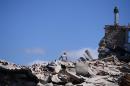 A man sits on top of rubble in Amatrice on August 24, 2016